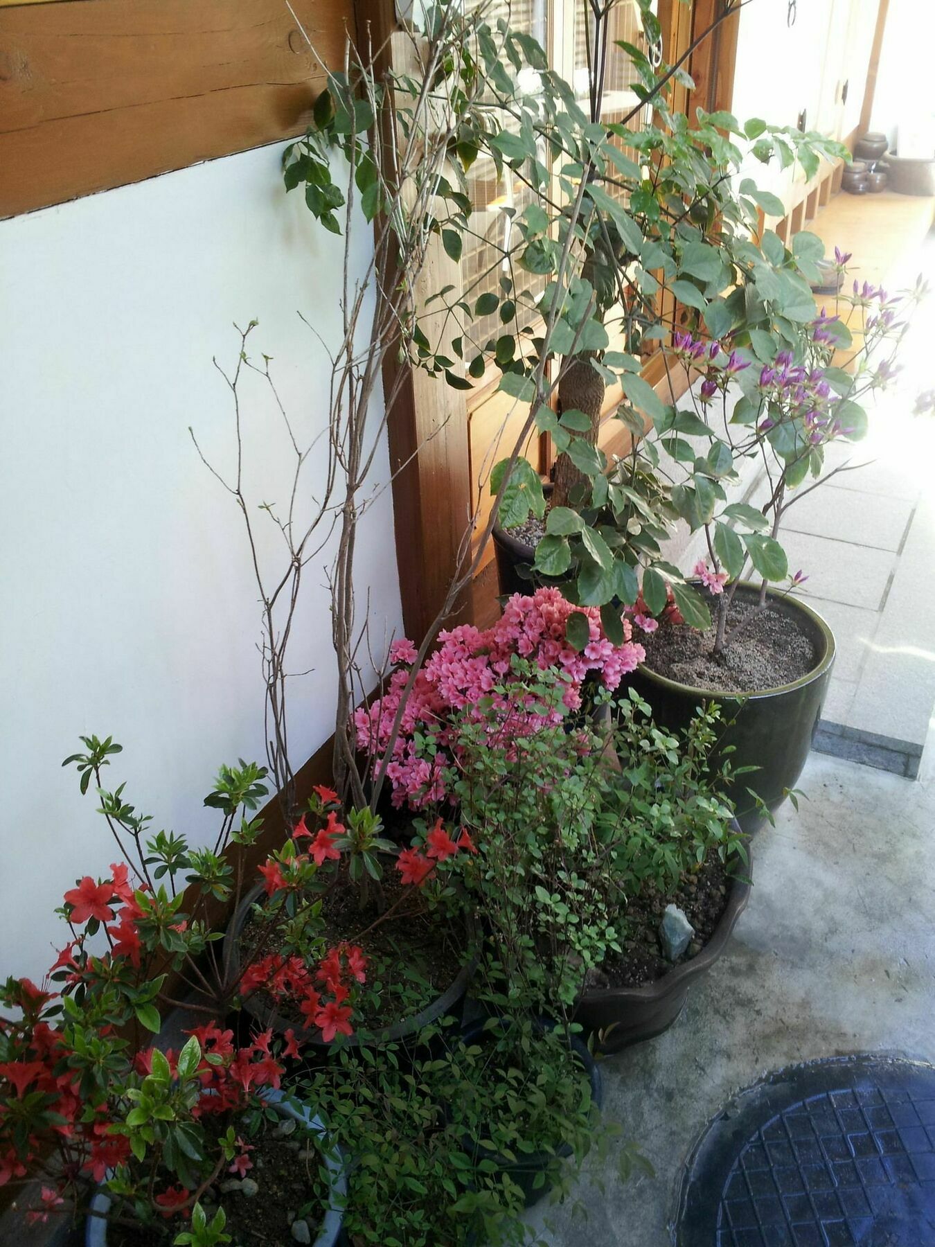 Han Hanok Guesthouse Сеул Экстерьер фото